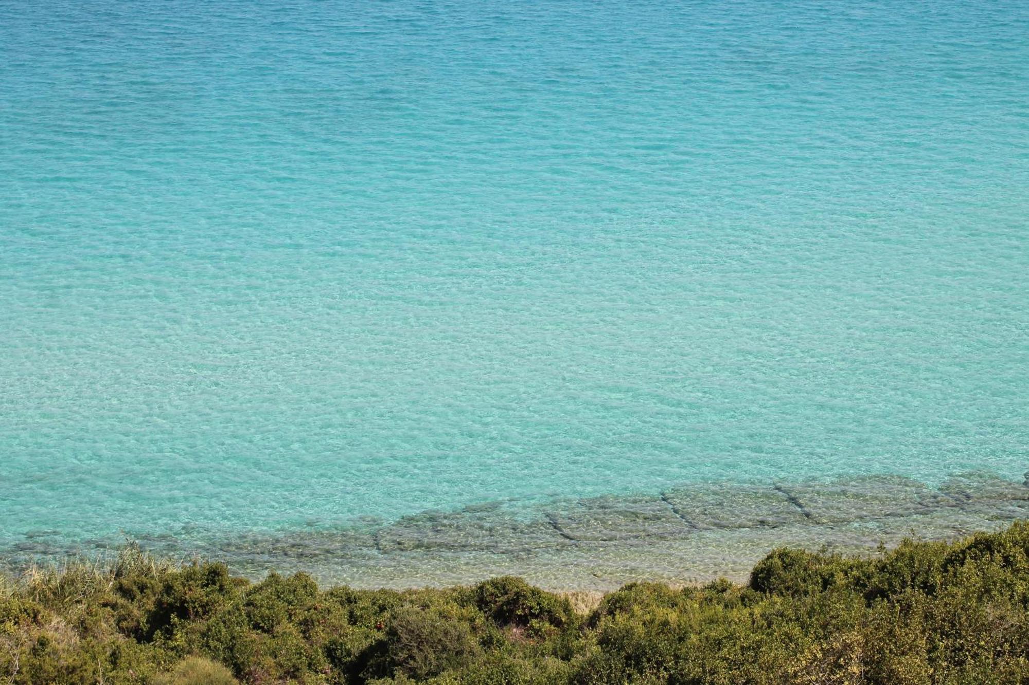 Tatil Evi The House Of Blue *